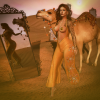 Serenade of the Sands