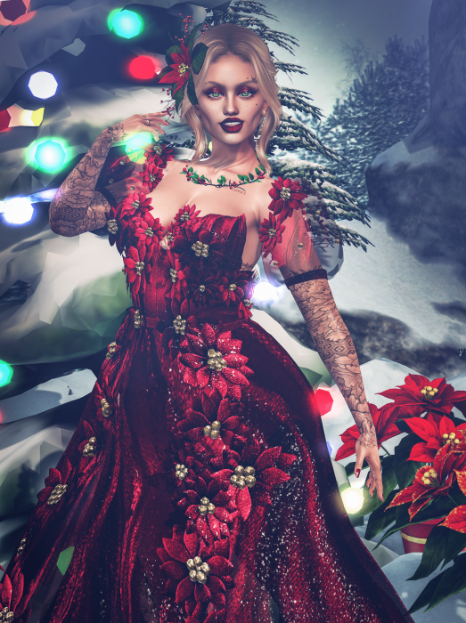 A Season of Poinsettias